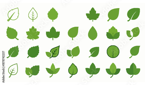 Minimal green leaf icons collection for eco organic vegan projects flat vector illustration