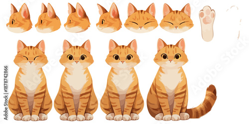 Conjunto de ilustraciones de gato atigrado naranja con diferentes expresiones faciales y poses sobre fondo transparente.