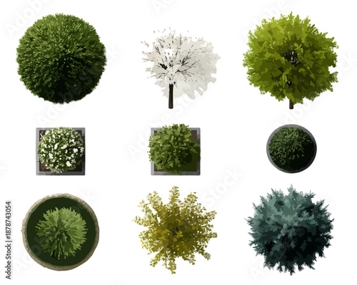 Colección de nueve vistas aéreas de árboles y arbustos aislados sobre fondo transparente para diseño arquitectónico.