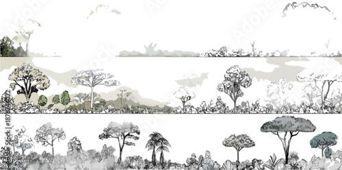 Conjunto de ilustrações vetoriais de árvores africanas e paisagem de savana em estilo esboço com fundo transparente.