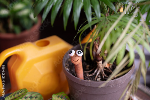Terracotta worm indicating soil moisture in the potted plant (moist meter)