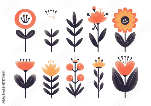 Coleção vetorial de ilustrações minimalistas de flores e folhagens em estilo escandinavo com fundo transparente.