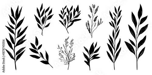 Coleção de ramos e folhas botânicas pretas desenhadas à mão com fundo transparente para design.