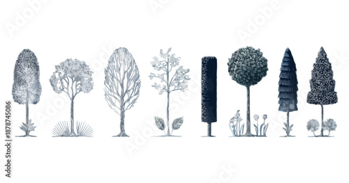 Coleção de ilustrações de árvores desenhadas à mão em estilo vintage com fundo transparente.