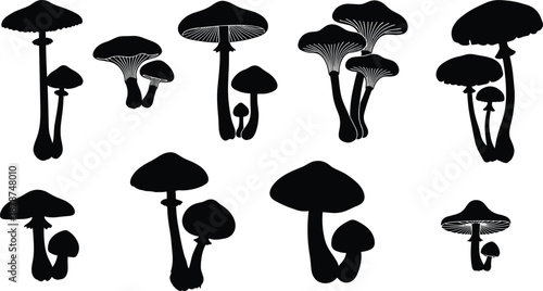 Mushroom silhouettes vector illustration, black fungus and toadstool shapes, wild forest plants, poisonous