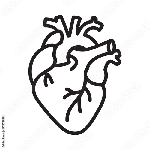 Simple line drawing depicts a human heart with major vessels and branching circulatory system