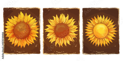 A collection of three vibrant, hand-painted sunflower illustrations, ideal for transparent backgrounds in various design projects.