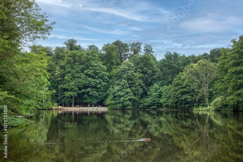 Lush Green Forest Reflection on Peaceful Lake Surface Representing Tranquility and Environmental Harmony with copy space