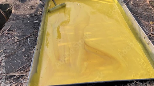 Cooling heated sugarcane juice on a large tray placed on the ground during traditional jaggery making in a rural village of Bangladesh, highlighting authentic food processing methods.