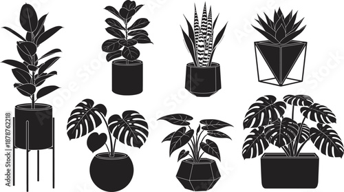 Black silhouettes of various indoor houseplants in modern pots including monstera and fiddle leaf fig isolated on white background for interior design and botanical concepts