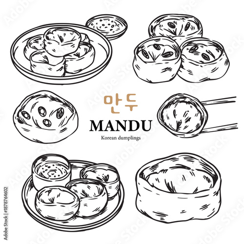Set of Korean dumplings Mandu hand drawn outline drawing illustration