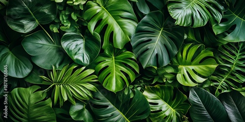Wallpaper Mural Vibrant Tropical Foliage with Lush Greenery and Diverse Textures Creating a Stunning Natural Canvas Torontodigital.ca