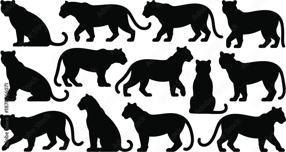 Obraz premium Tiger Silhouette Vector Set. Featuring majestic feline poses standing, walking, sitting, and reclining. Ideal for wildlife designs, jungle illustrations. Vector graphic.