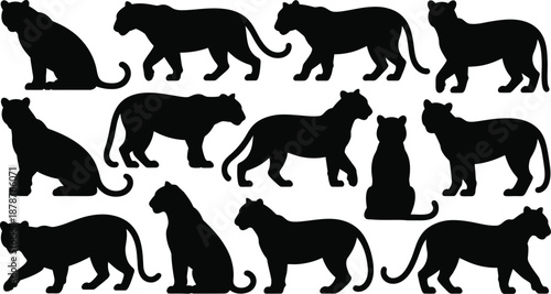 Tiger Silhouette Vector Set. Featuring majestic feline poses standing, walking, sitting, and reclining. Ideal for wildlife designs, jungle illustrations. Vector graphic.