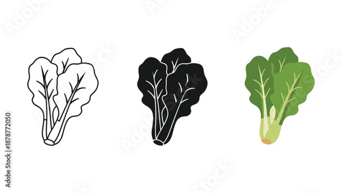 hand drawn vector illustration of a green leaf