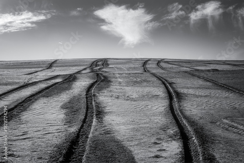 Tire tracks on the dunes. Black and white photo.