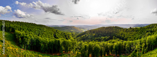 Принти на полотні the forests and nature of the german rothaargebirge panorama