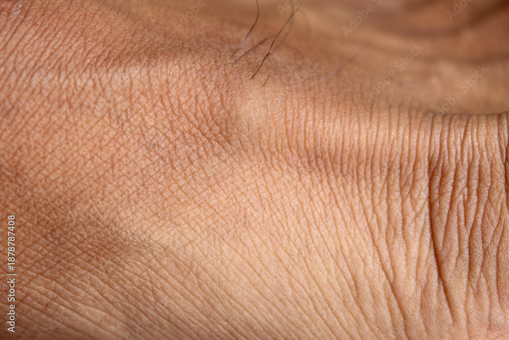 Fototapeta premium The texture of the skin on men's feet is brown with a wrinkled pattern