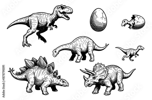 Detailed classic dinosaur illustration set featuring tyrannosaurus stegosaurus triceratops egg and hatchling