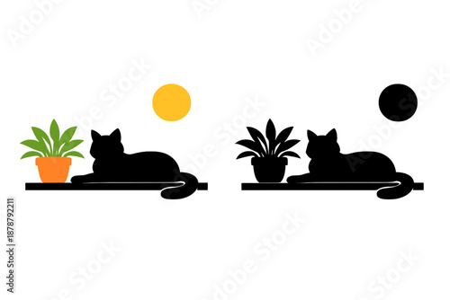 Cat silhouette in front of a potted plant under moonlight