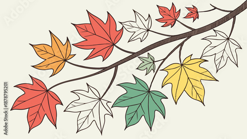 Vibrant Autumn Maple Branch Foliage Changing Colors for Seasonal Fall Website Design and Holiday Greeting Card Backgrounds