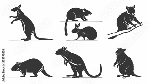 Diverse Australian Marsupial Silhouettes Set for Wildlife Education Design Projects