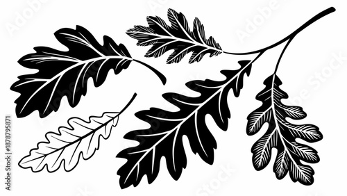 Black and White Oak Leaves Branch Illustration Perfect for Autumn Decor Design Rustic Nature Print Seasonal Website Graphics