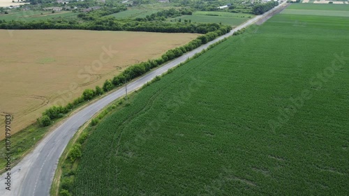 Curved road separating green and brown agricultural fields from above. Perfect for showcasing land use, farming diversity, or rural infrastructure.