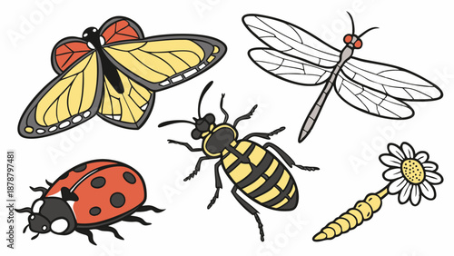 Colorful Cartoon Insects Collection Ladybug Butterfly Wasp Dragonfly Larva for Nature Education Science Projects Summer Fun