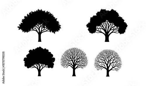 Nature seasons tree contrast black silhouette vector icons