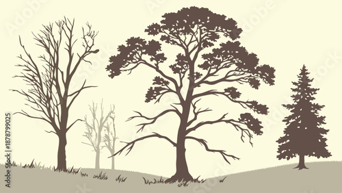 Diverse Tree Silhouettes for Landscape Design Web Banners Seasonal Nature Graphics Woodland Illustration Vintage Style