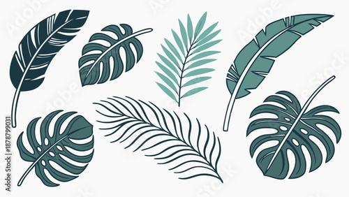 Tropical Leaf Vector Set Exotic Jungle Foliage Design Elements for Summer Vacation Branding and Print Projects