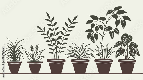 Houseplant Growth Stages Vector Set for Gardening Blog Design Home Decor Web Banner Illustration