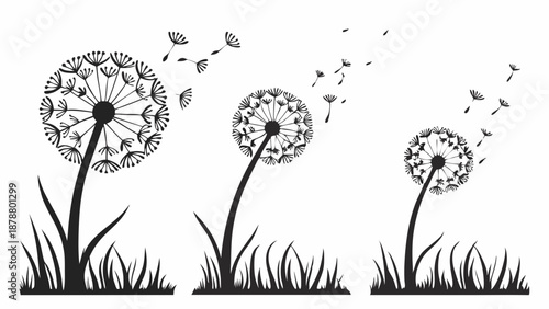 Dandelion Seeds Blowing in Wind Silhouette for Spring Growth Hope Wishes and New Beginnings Design Element