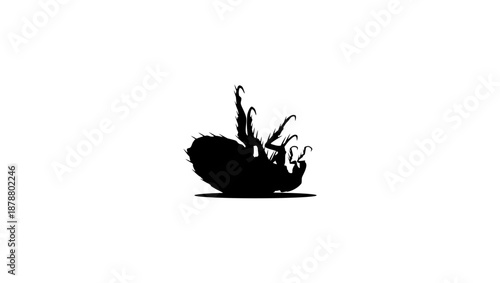 dead flea symbol, black isolated silhouette