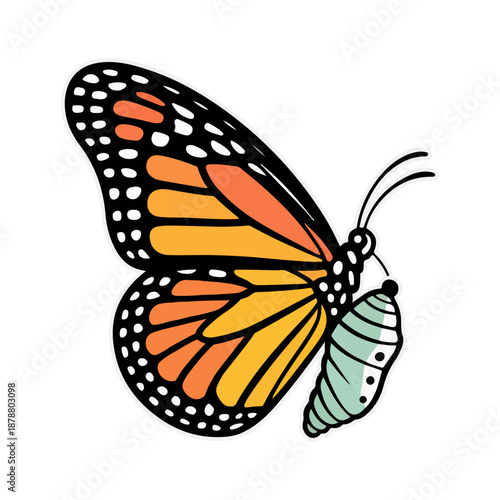 Butterfly Vector Illustration with Orange and Black Wings Detailed Insect Design Isolated on White Background