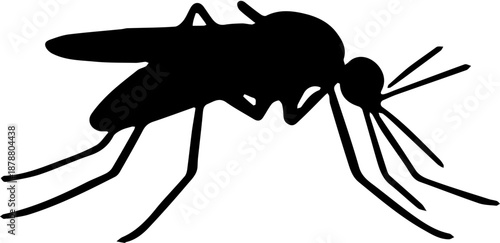 insect mosquito vector illustration 