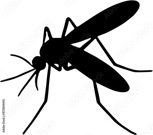 mosquito insect vector illustration