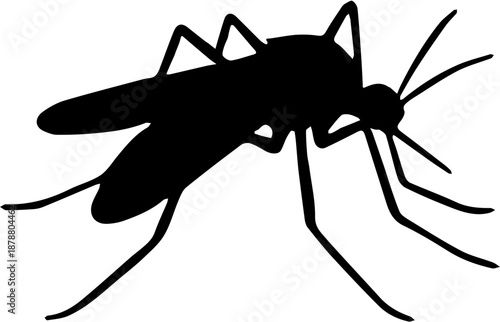 mosquito insect vector illustration