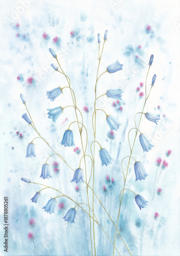 Blue Bellflowers Bell flowers white background Soft Ornate floral watercolor painting nature landscape Abstract nature blossom floral branches spring or summer floral design