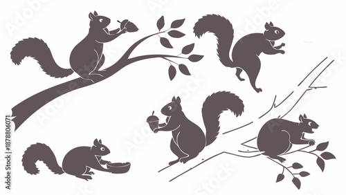 Squirrel Silhouettes Gathering Acorns on Tree Branches for Autumn Wildlife Design Projects and Seasonal Web Graphics
