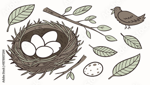 Bird Nest with Eggs Branches and Leaves Illustration for Spring Easter Nature Design Projects and Wildlife Education