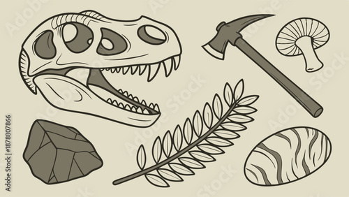 Paleontology Archaeology Discovery Icons Set Dinosaur Skull Fossil Rock Tool for Museum Education Website Design