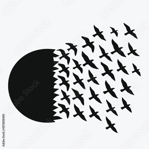 Print  Circle Breaking Into Flying Birds – Freedom, Release and Transformation Concept Vector Illustration isolated white background