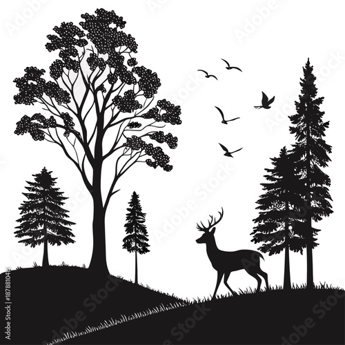 Deer in forest silhouette at sunset