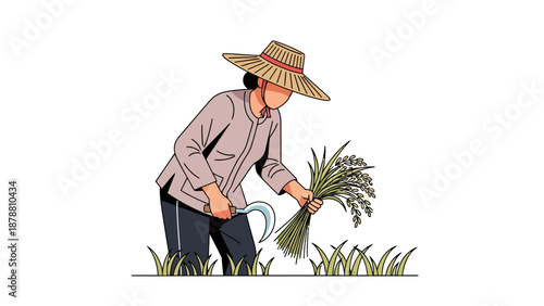 Farmer harvesting rice with sickle and sheaf