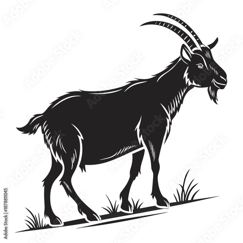 A goat standing on a white background illustration