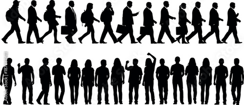 Silhouettes of business people walking in two rows