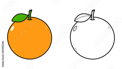 Orange fruit coloring page for kids activity