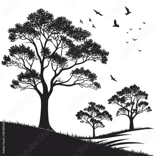 Set of black tree silhouettes showing bare branches in a natural forest scene